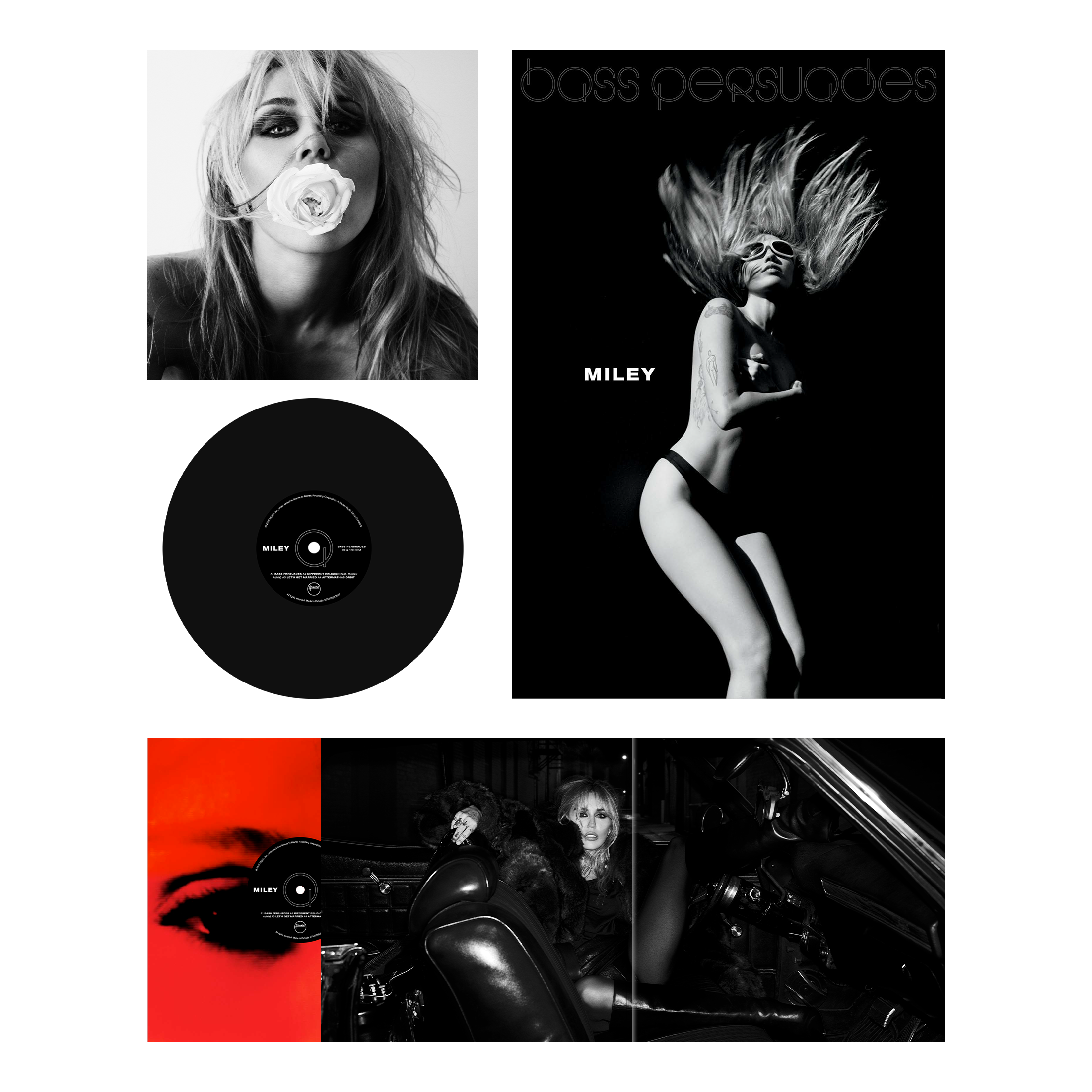Bass Persuades - Black Vinyl