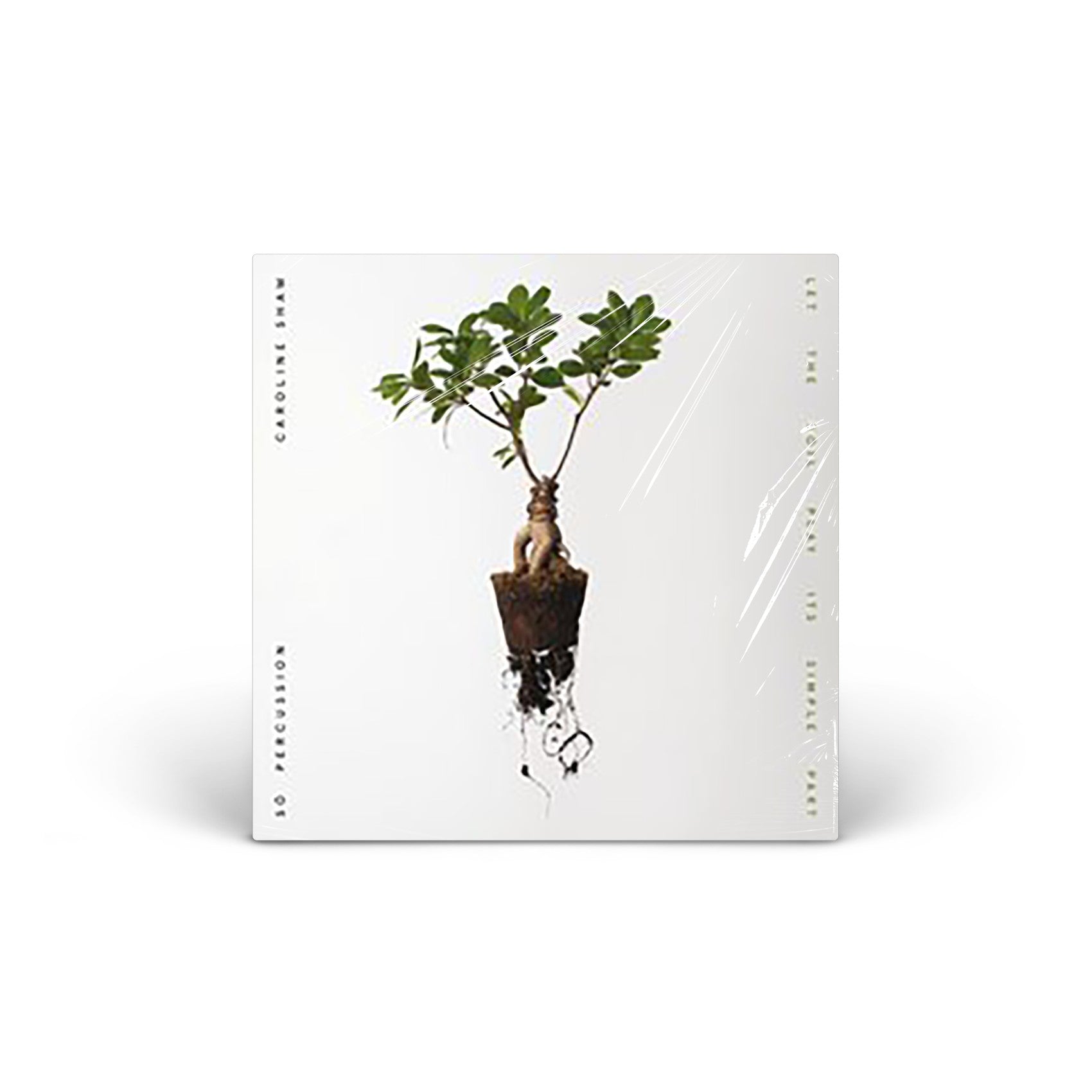 Let the Soil Play Its Simple Part vinyl LP