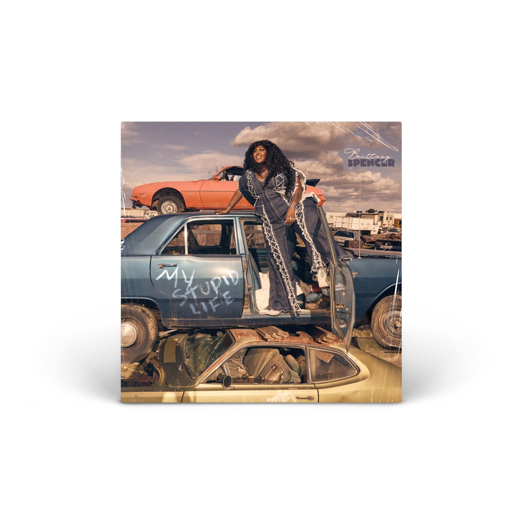 My Stupid Life vinyl LP