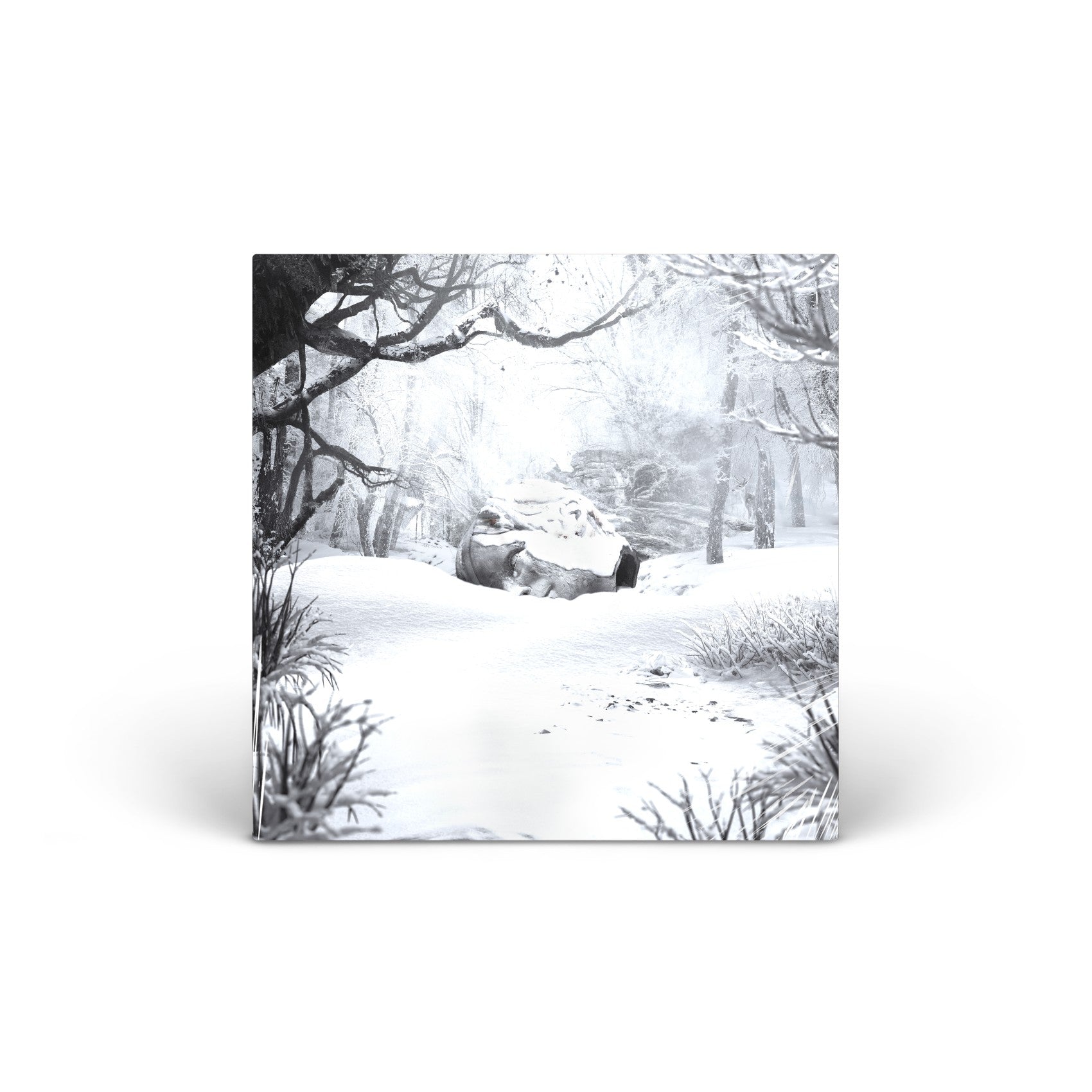 SZNZ: Winter vinyl LP