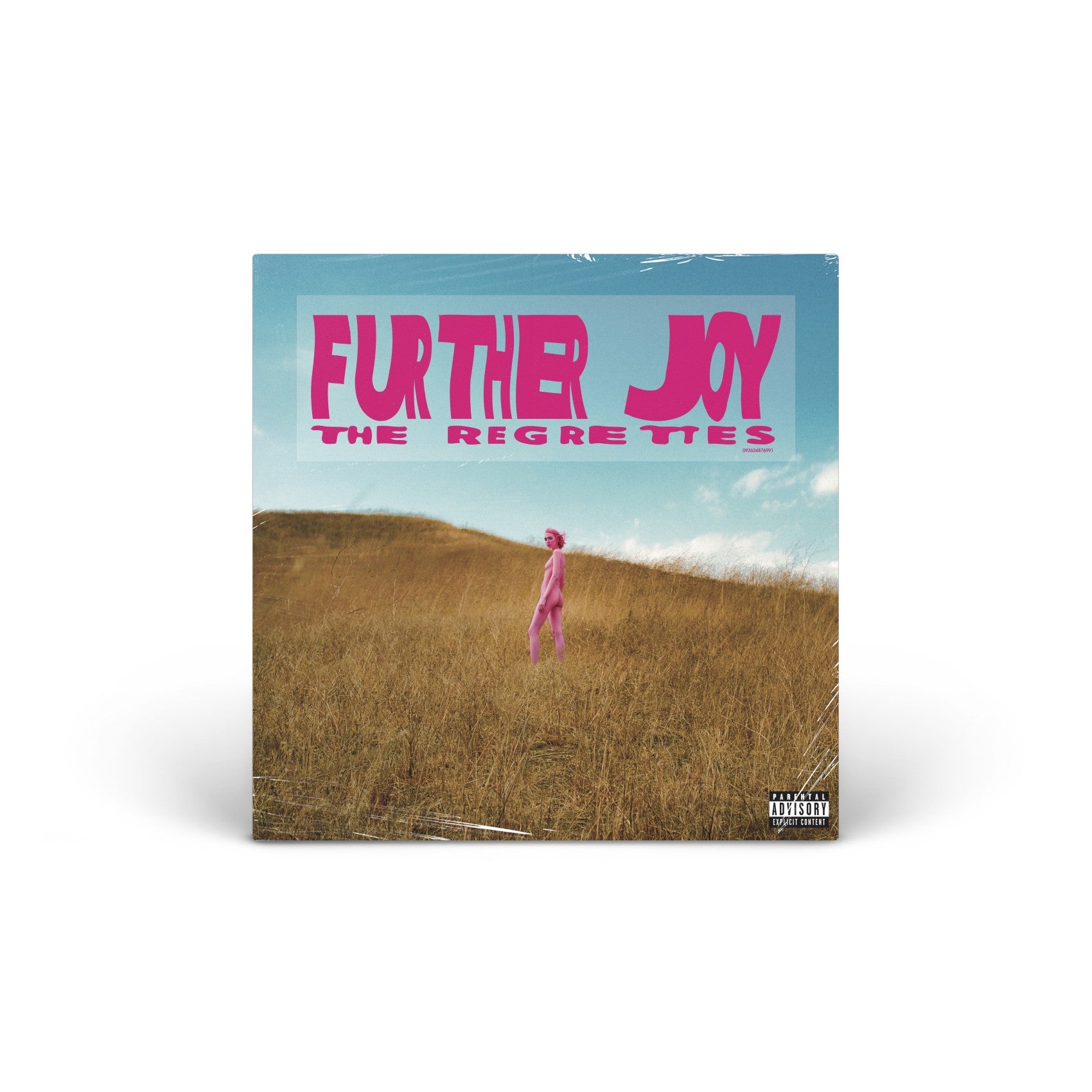 Further Joy vinyl LP