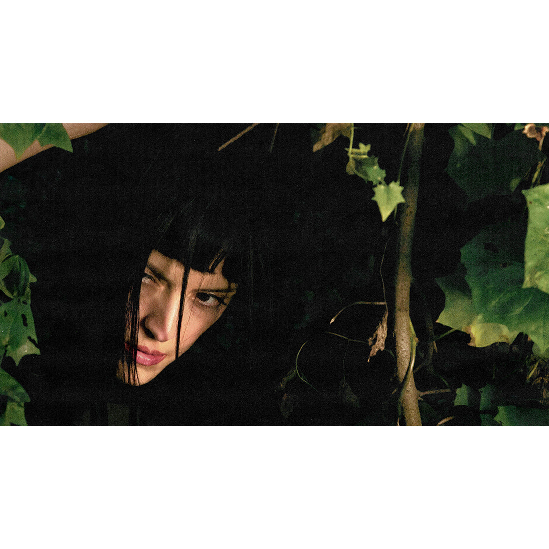 Melt - pressed moss vinyl (limited edition)