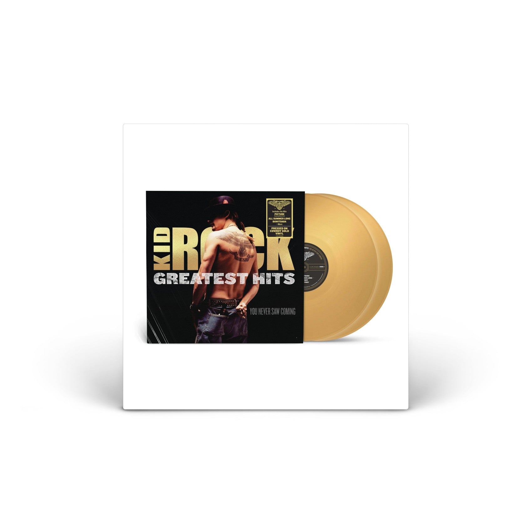 Greatest Hits: You Never Saw Coming vinyl 2LP