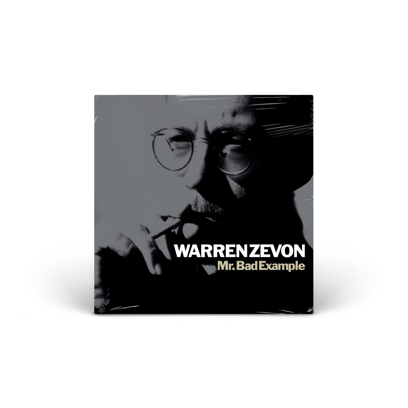 Mr. Bad Example vinyl LP