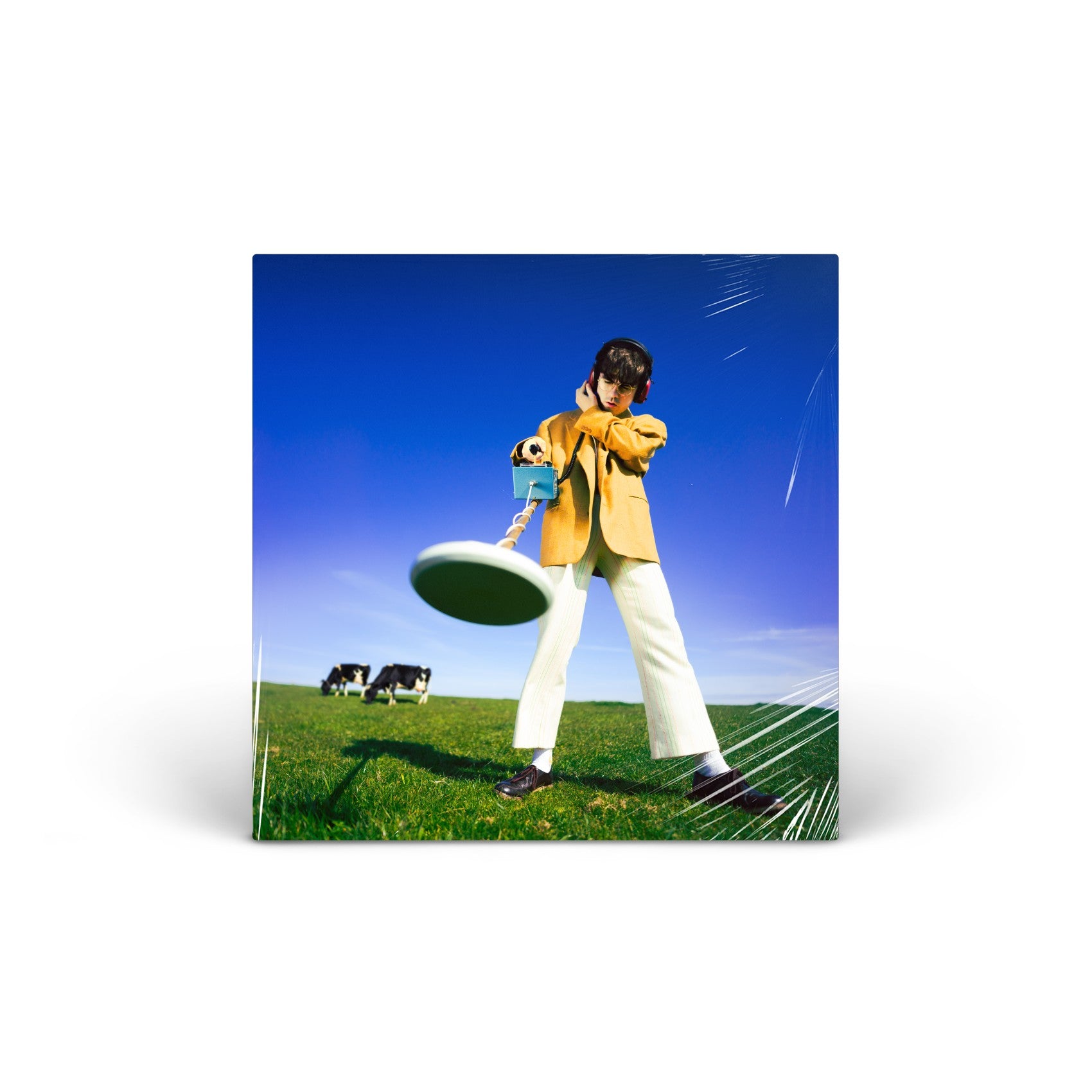 What Happened to the Beach? vinyl LP