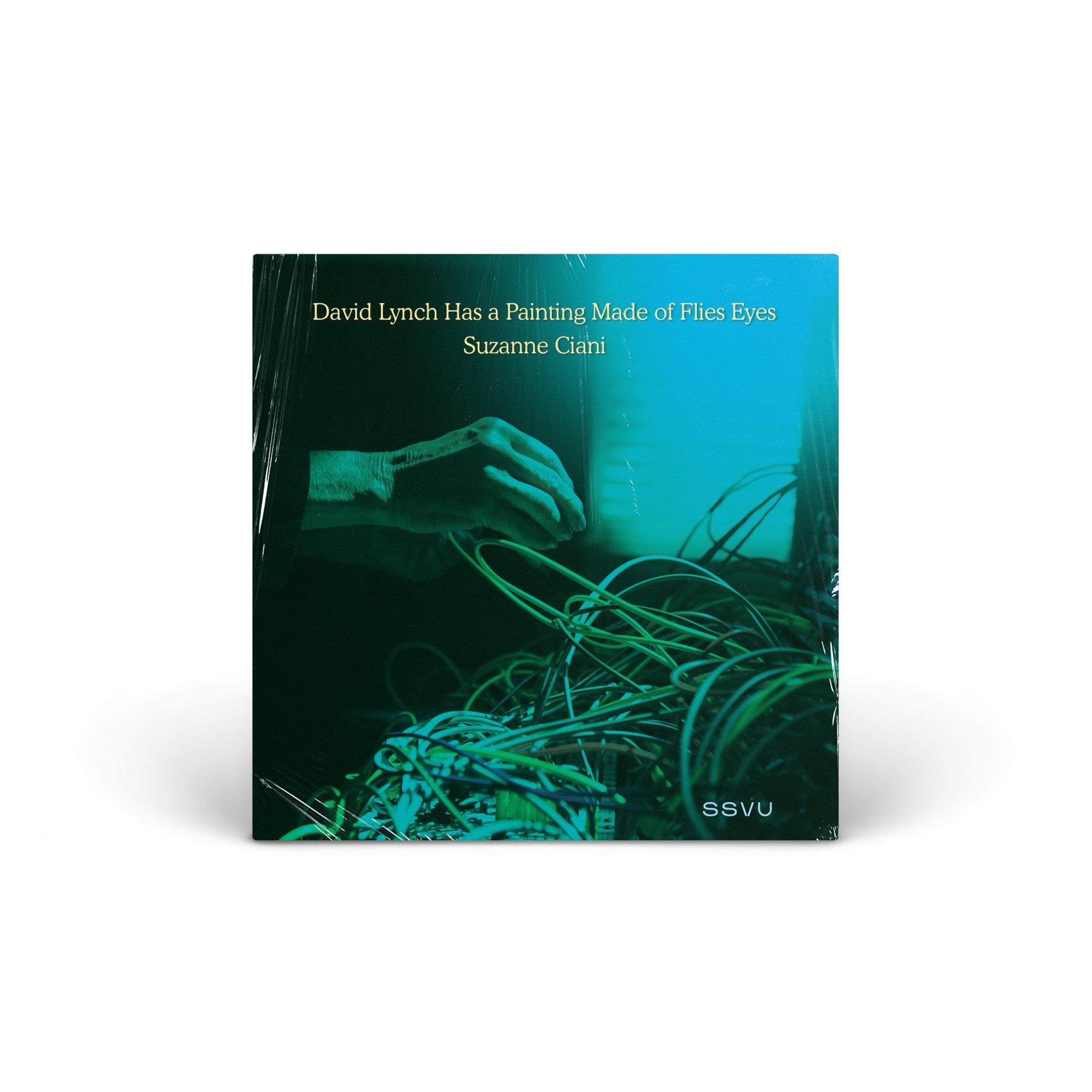 David Lynch Has a Painting Made of Flies Eyes / Suzanne Ciani (BF22 EX) vinyl LP