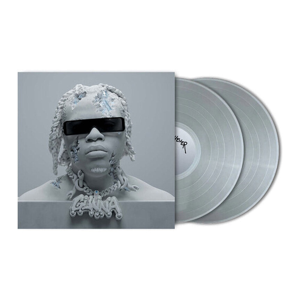 DS4EVER (Silver) Vinyl 2LP