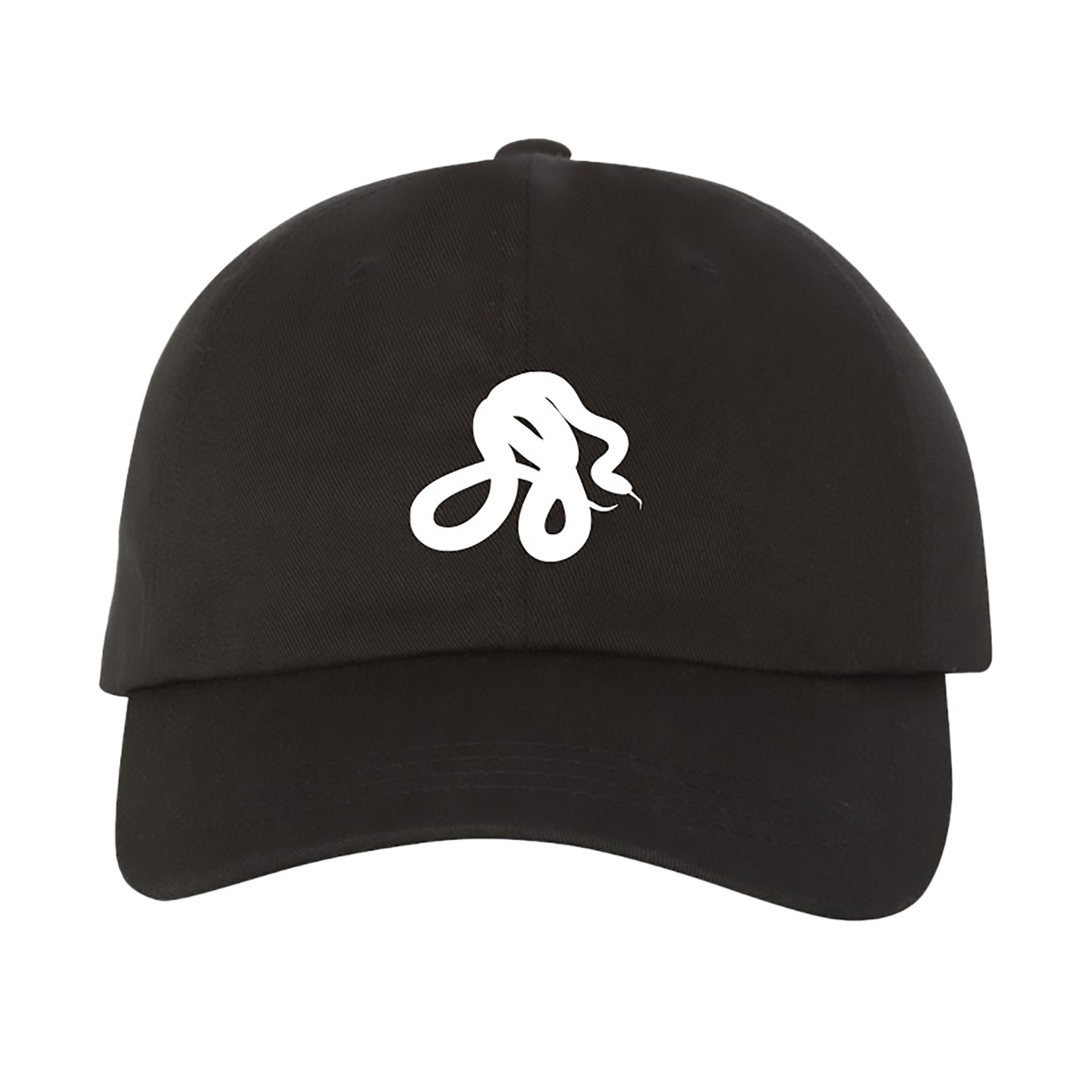 snake embroidered hat