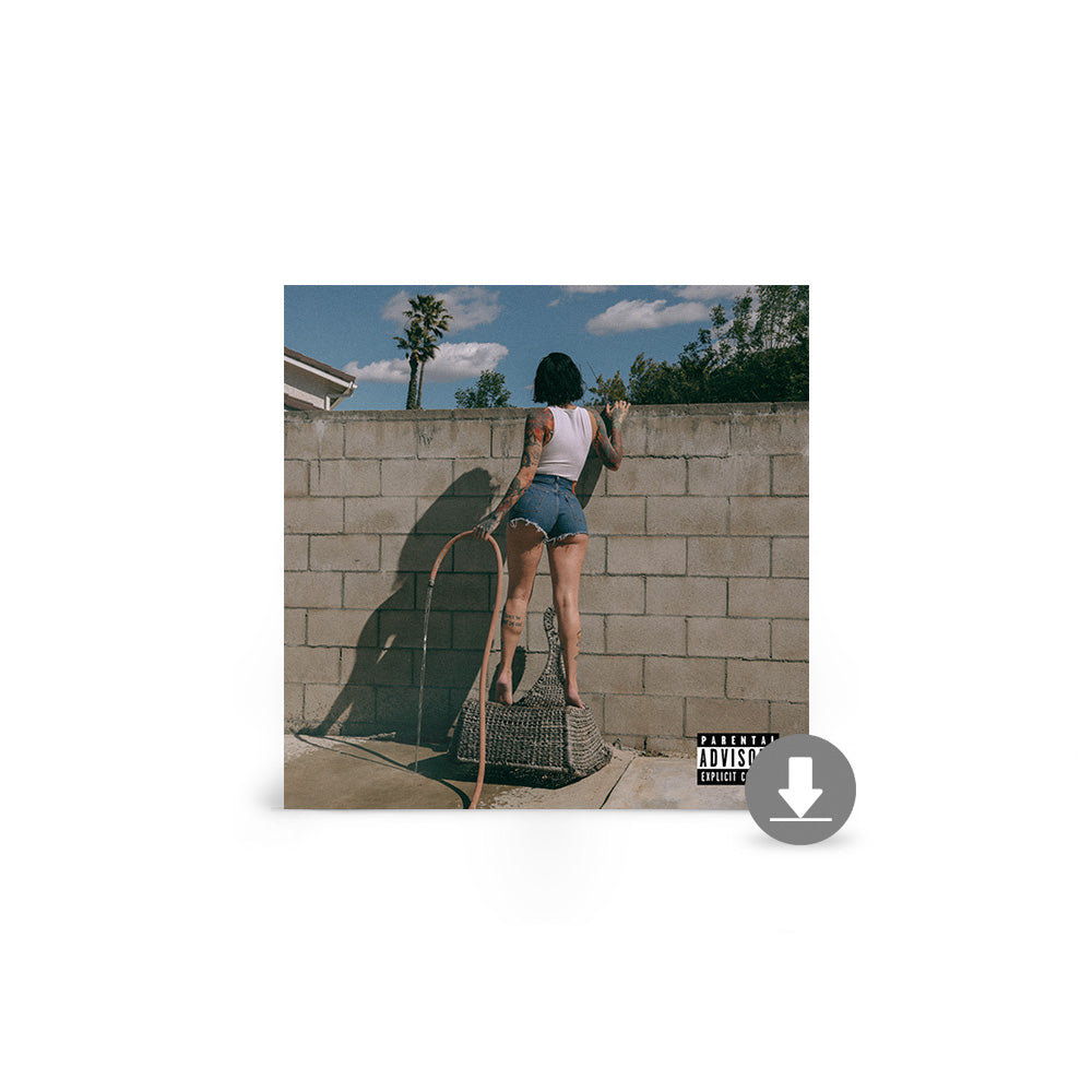 It Was Good Until It Wasn't Digital Album