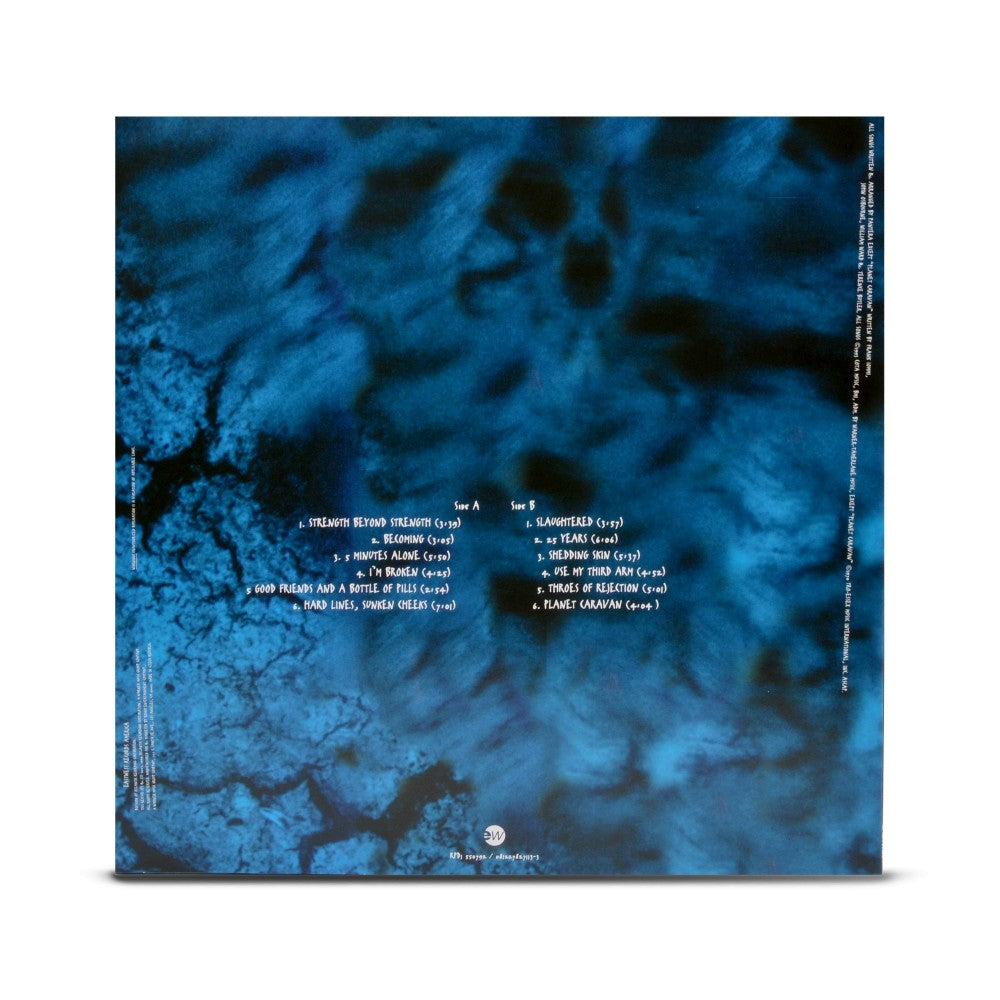 The Complete Studio Albums 1990-2000 (Picture Disc Boxed Set)