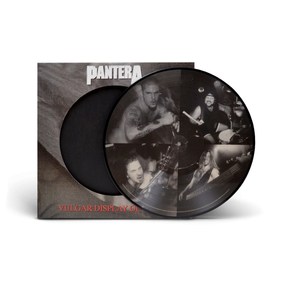 The Complete Studio Albums 1990-2000 (Picture Disc Boxed Set)