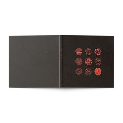 Blurryface (10th Anniversary) Vinyl Coffee Table Book
