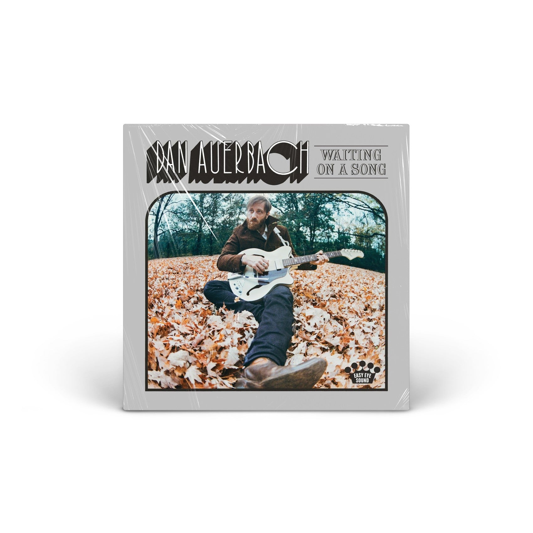 Waiting on a Song vinyl LP