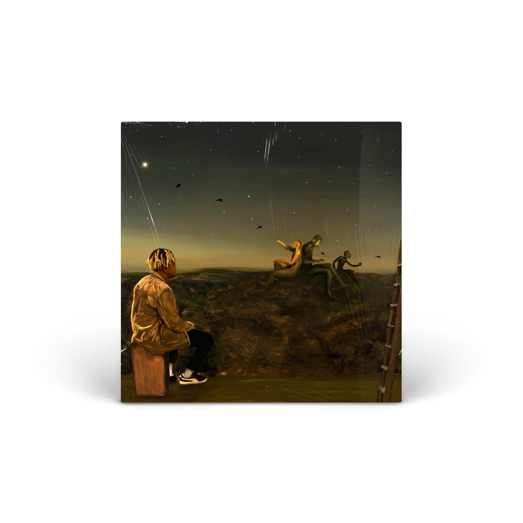 From a Birds Eye View vinyl LP