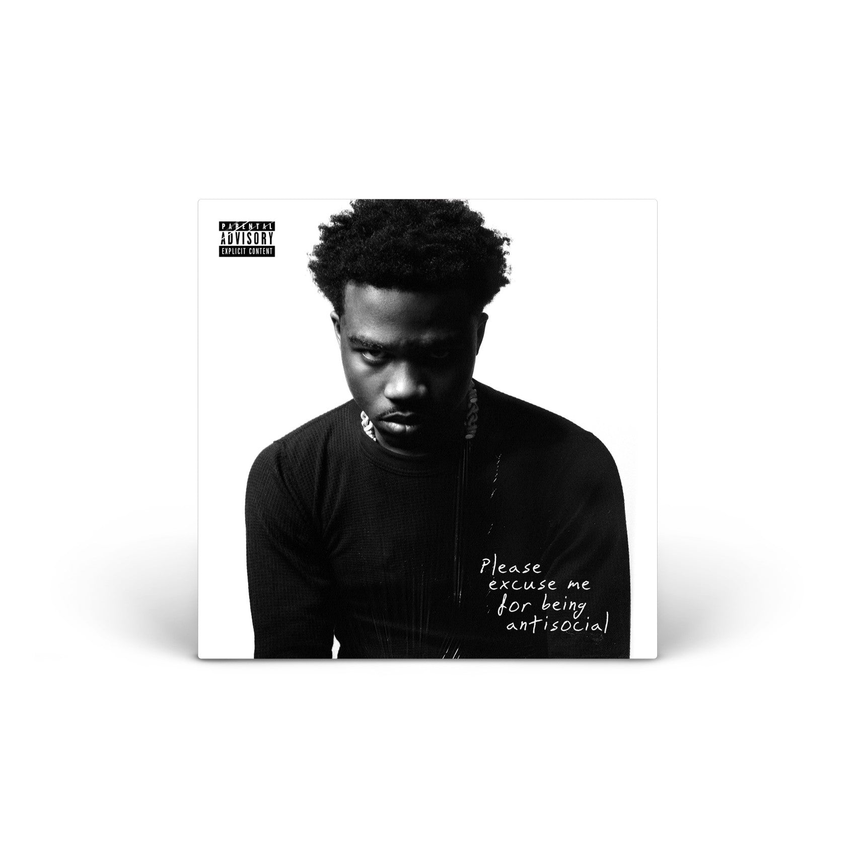 Please Excuse Me for Being Antisocial vinyl 2LP