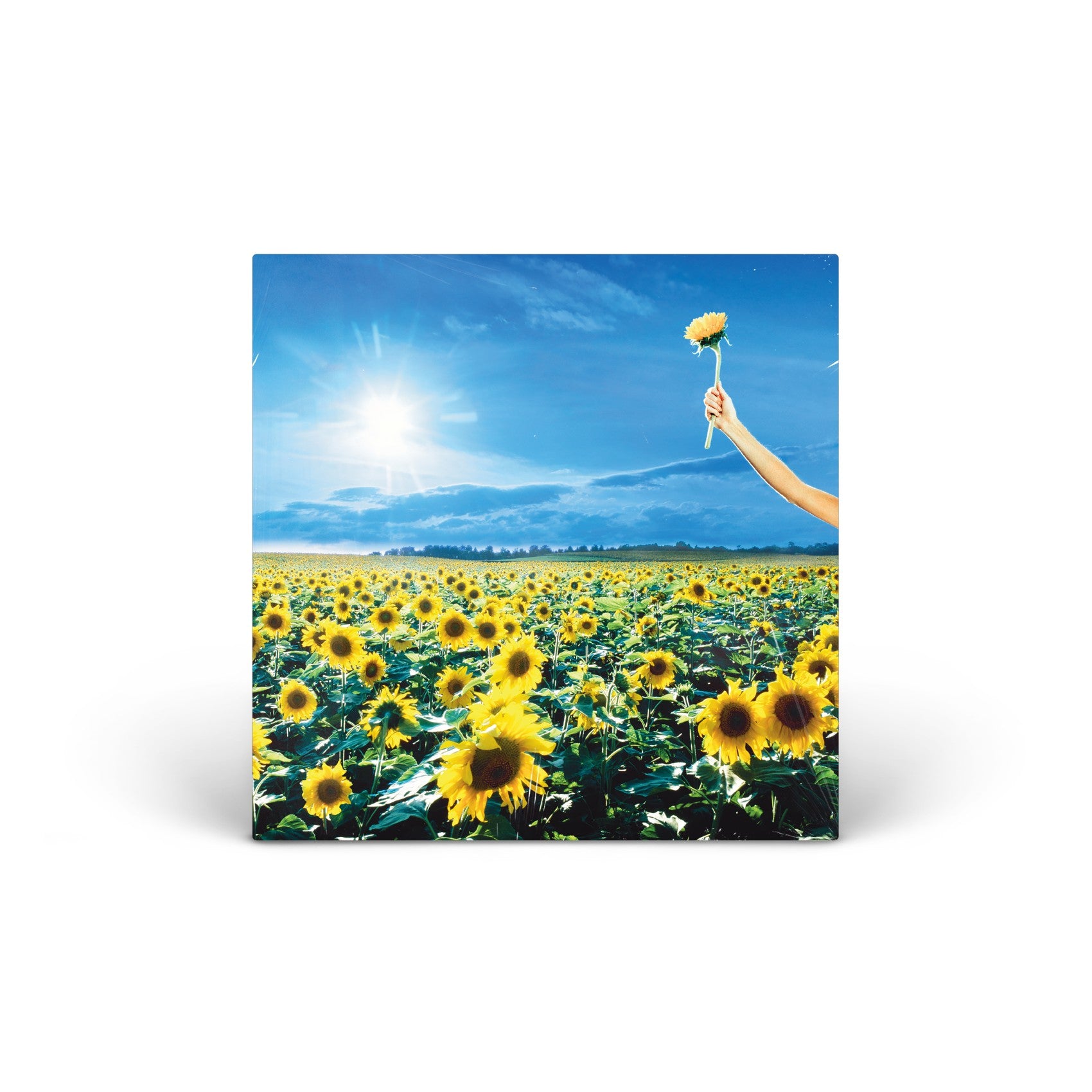 Thank You (Opaque Sky Blue Vinyl) vinyl 2LP