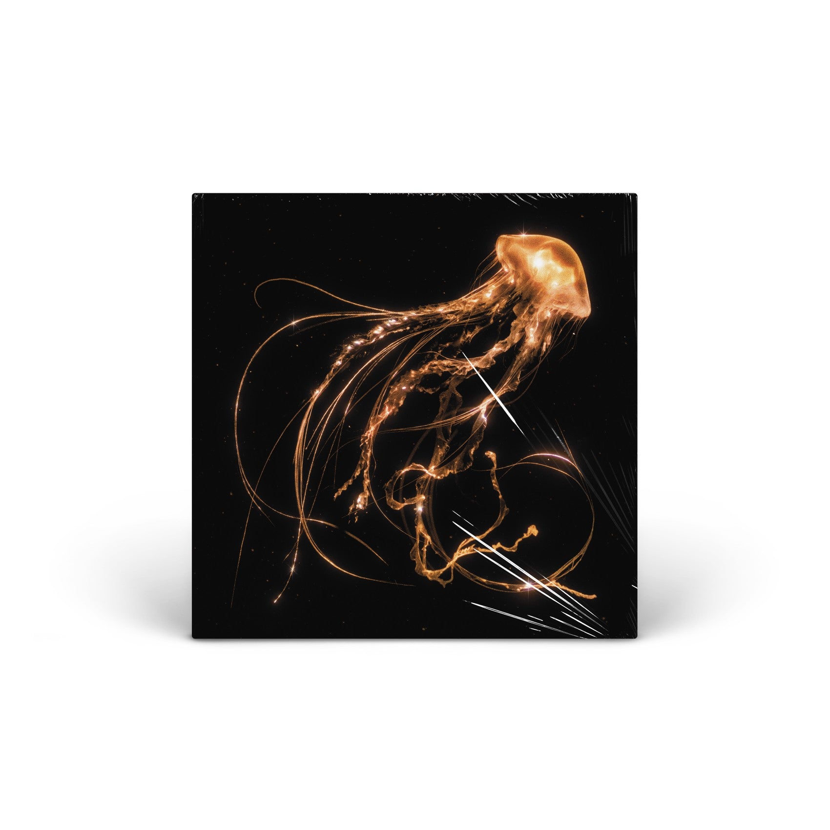 Back To The Water Below vinyl LP