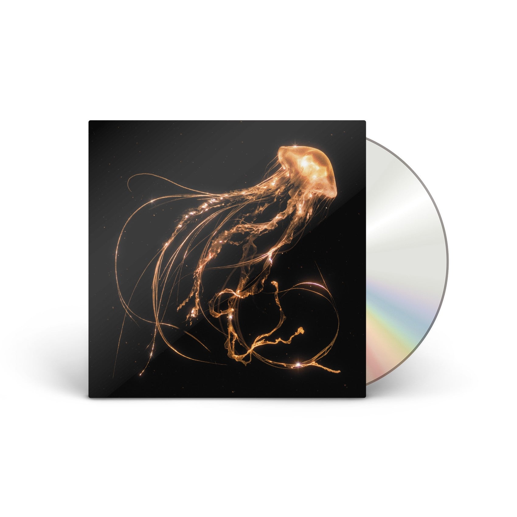 Back To The Water Below CD