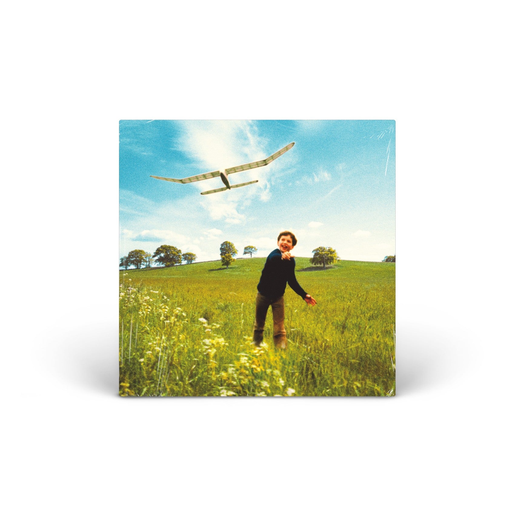 Who We Used To Be vinyl LP