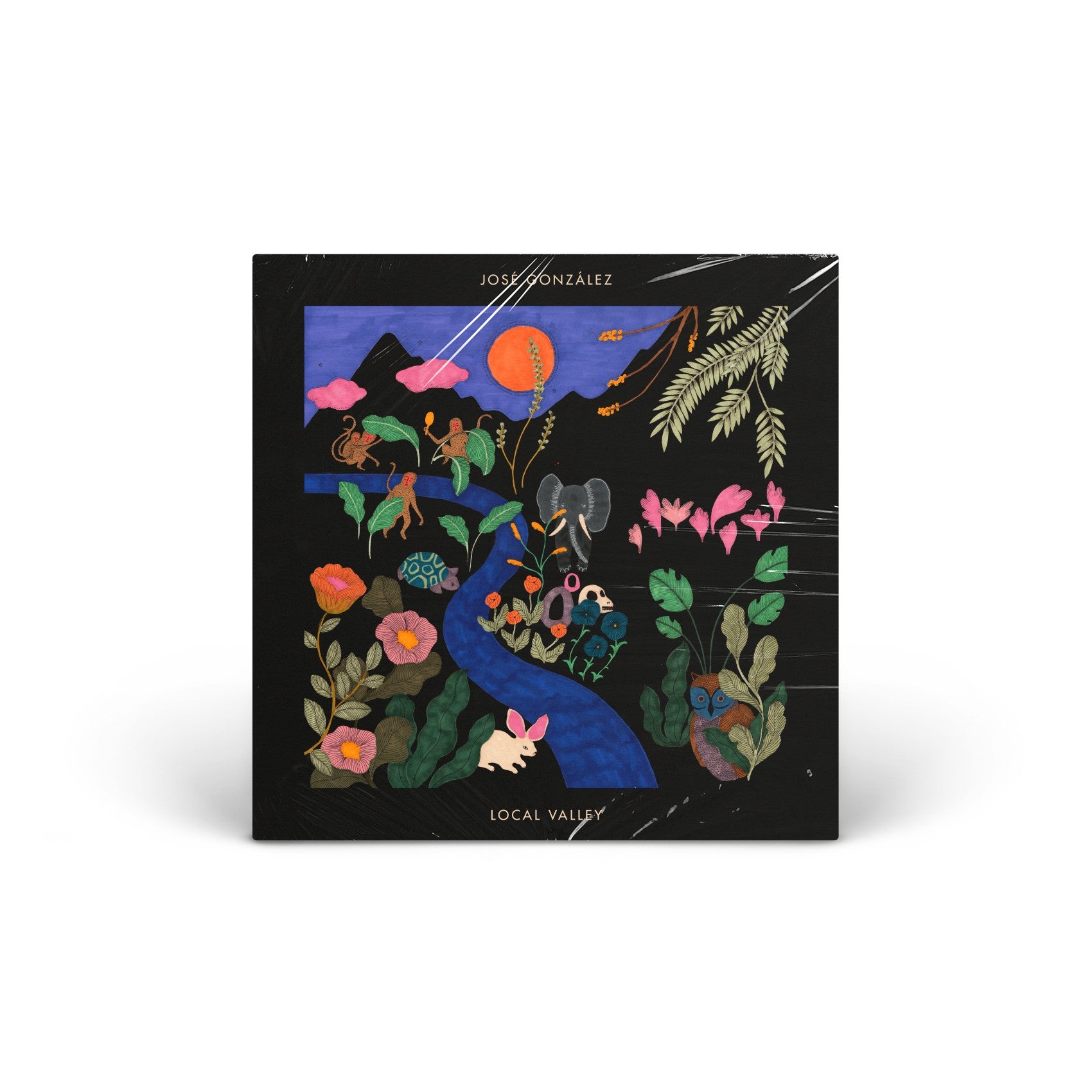 Local Valley vinyl LP