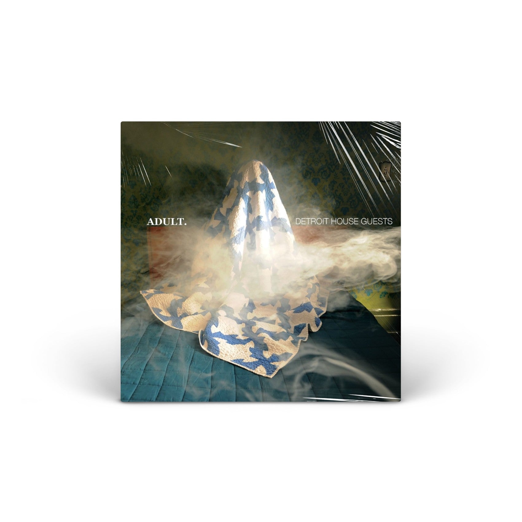 Detroit House Guests vinyl LP