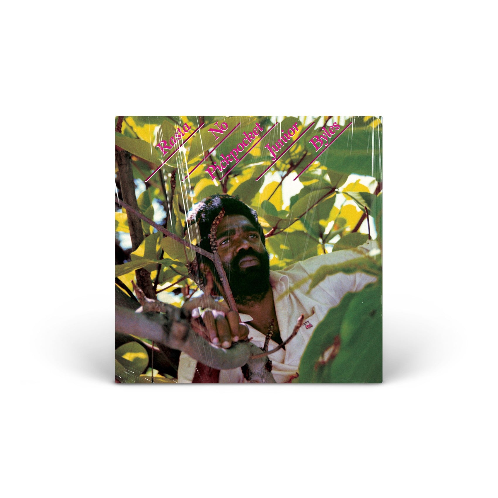 Rasta No Pickpocket vinyl LP