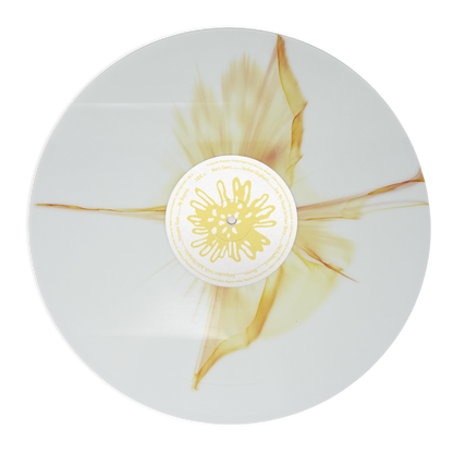 Florescence Daffodil Edition EcoRecord