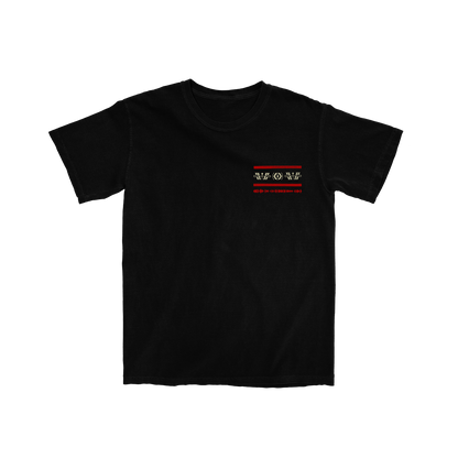 The Wow! Signal T-shirt