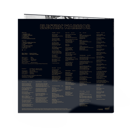 Electric Warrior (Rhino High Fidelity)