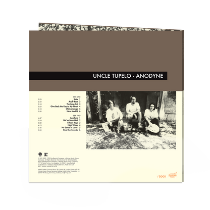 Anodyne (Rhino High Fidelity)