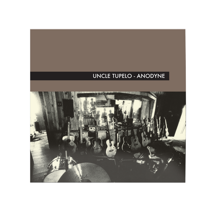 Anodyne (Rhino High Fidelity)