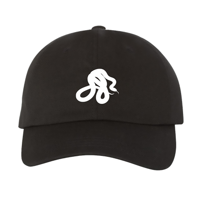 snake embroidered hat