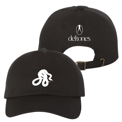 snake embroidered hat