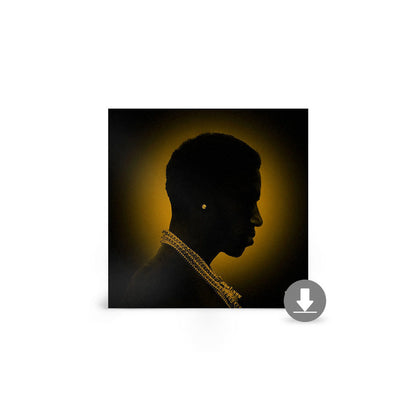 Mr. Davis Digital Album