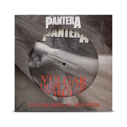 The Complete Studio Albums 1990-2000 (Picture Disc Boxed Set)